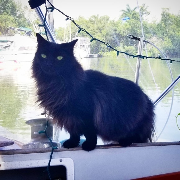 Meet your Posher, Victoria - Picture 1 of 1